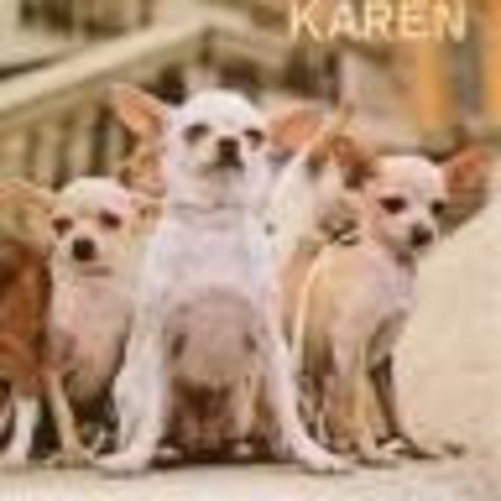Meet your Posher, Karen